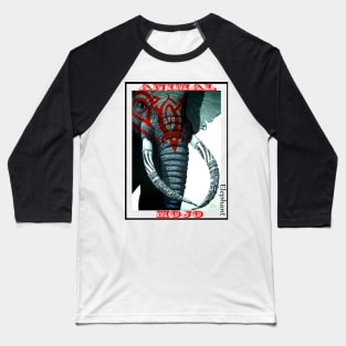 Elephant Mojo Baseball T-Shirt